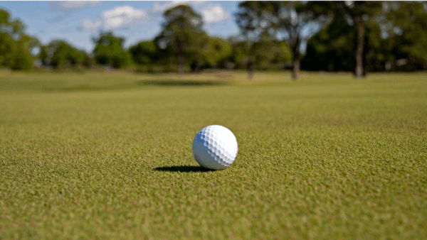 Tifeagle